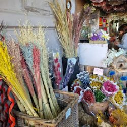 El Productor Flores Naturales Disecadas