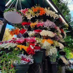 Ferdinand Flower