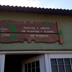 Flor De La Cruz