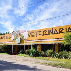 Flora Y Fauna, Vivero Veterinaria Y Pet Shop
