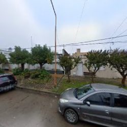Florecer Junin