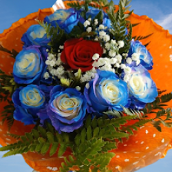 Floreria 3 De Febrero