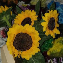 Florería A Pura Flor