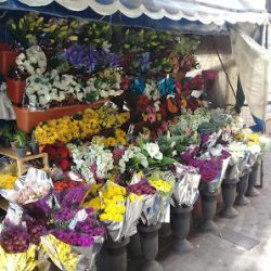 Floreria Alex