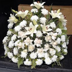 Florería Alstroemeria