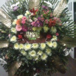 Florería Amor
