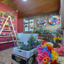Floreria Arco Iris
