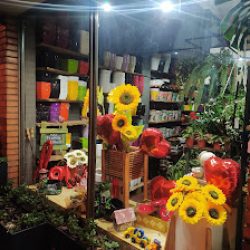 Florería Artedeco Garden & House Flowers And Botanic