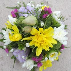 Floreria Aster