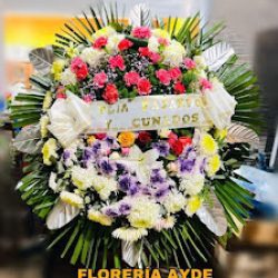 Floreria Ayde