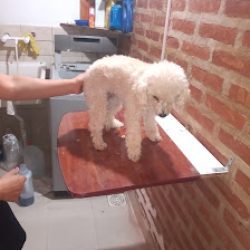Florería Beau Geste