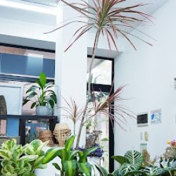 Floreria Blooming 예쁜집flowershop