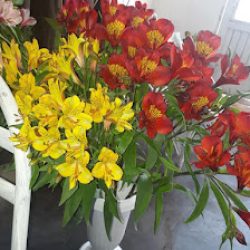 Florería Buen Gusto