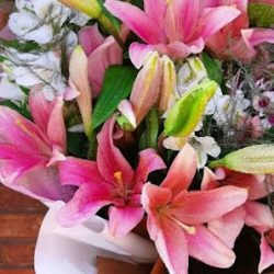 Florería Cañitas