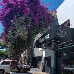 Floreria Casa Nader