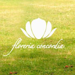 Floreria Concordia