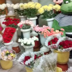 Floreria, Crecer Y Cortesias Florales