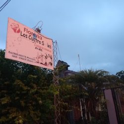 Florería Cuatro Soles