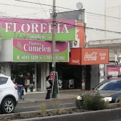 Florería Cumelen Lomas De Zamora