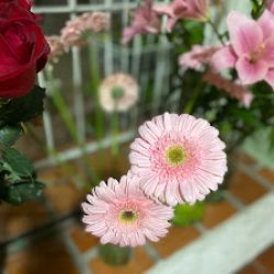 Florería Del Pueblo