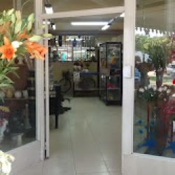 Florería Edymar