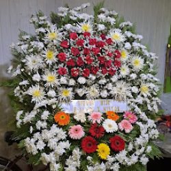 Florería 