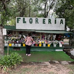 Florería El Carro