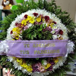 Florería El Jazmín