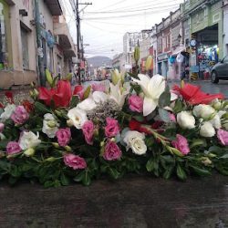 Floreria El Milagro