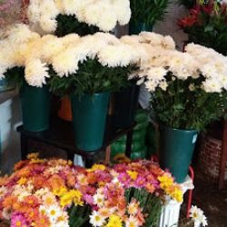 Florería El Mundo De Las Flores