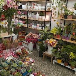 Florería El Sueño De Fefa