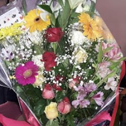 Floreria Elsa