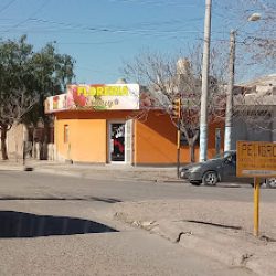Floreria Eluney