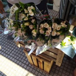Florería Falcón