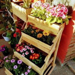 Floreria Flor De Lis