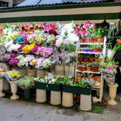 Floreria FloresdecaÑitas