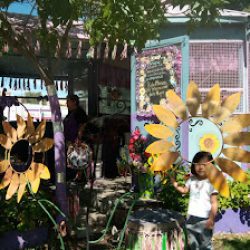 Floreria Girasoles