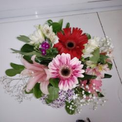 Florería Gladys
