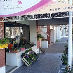 Florería Graciela