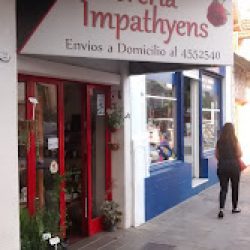 Florería Impathyens