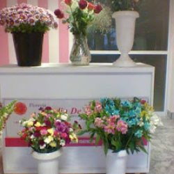 Floreria Jardin De Rosas