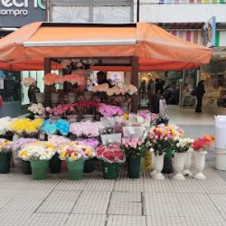Florería Jorge