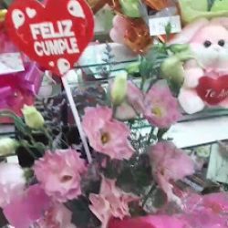 Florería La Candelaria