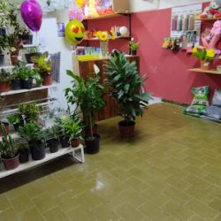 Floreria La Casa De Las Flores