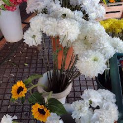 Florería La Familia
