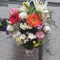 Floreria La Japonesita