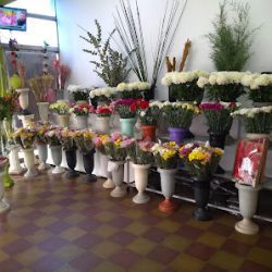 Floreria La Nueva Esquina