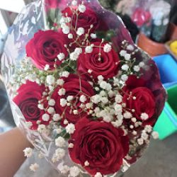 Floreria La Paz