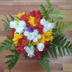 Floreria La Primavera