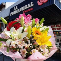 Florería La Primaveral